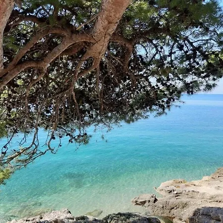Apartment Zadar Holiday home *